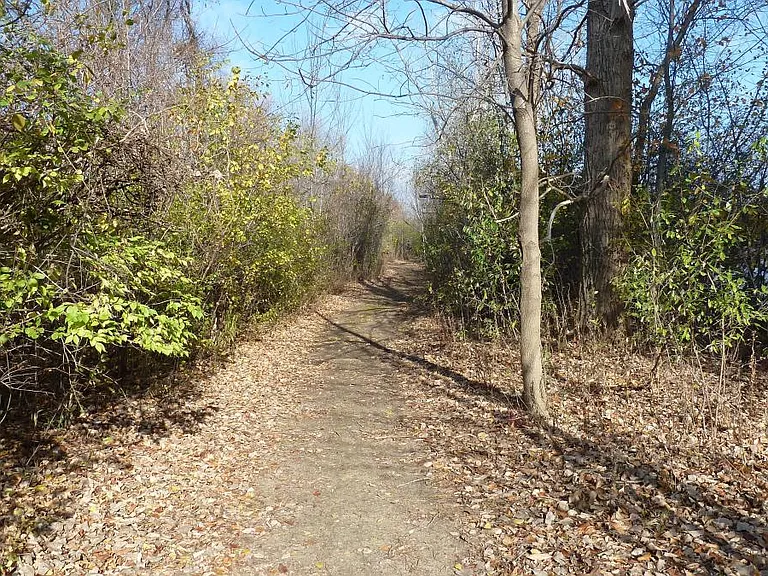 11737 21 Mile Rd — Photo 24