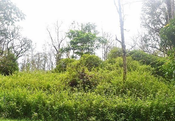 5th image of Makamae St Lot 18