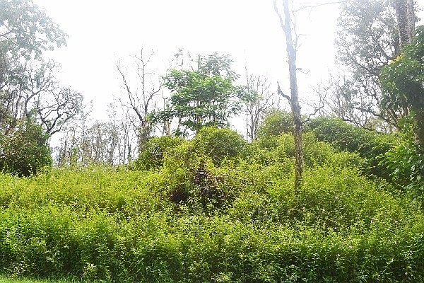 1st image of Makamae St Lot 16