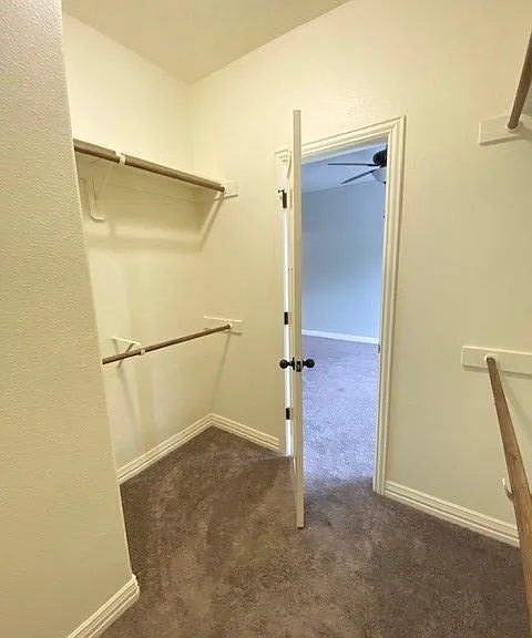 3375 Spurlock Rd — Photo 15