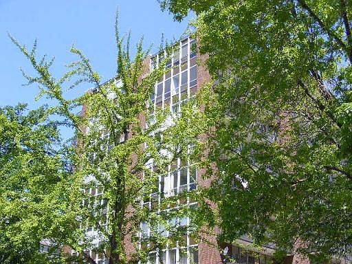 1st image of 922 North Blvd #401
