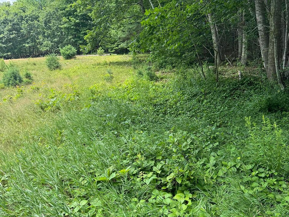 2nd image of Part of 743 Wottons Mill Road