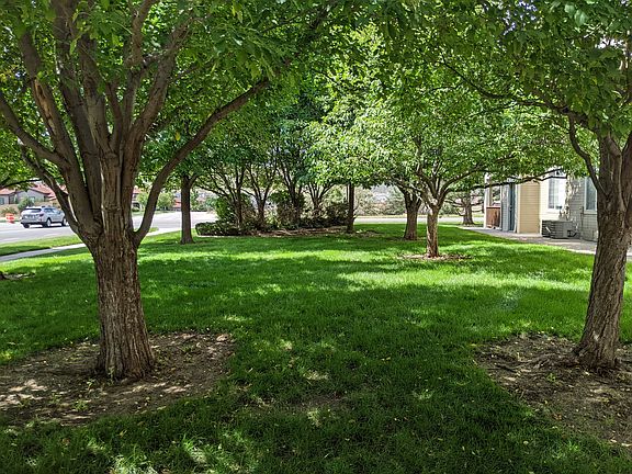 View from Entrance