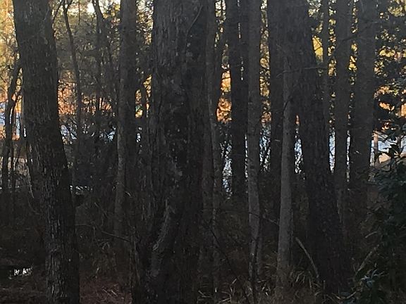 2nd image of 113 Otter Dr