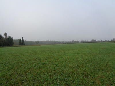 +/- 11 TILLABLE ACRES