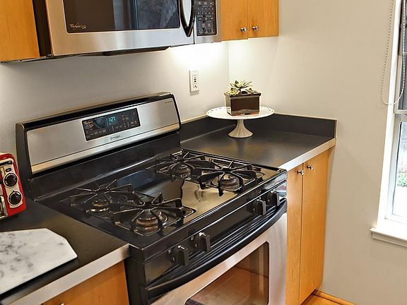 Stainless gas range
