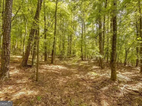 1251 Crumbley Rd, McDonough, GA 30252