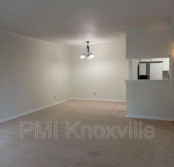 5709 Lyons View Pike #1206 — Photo 12