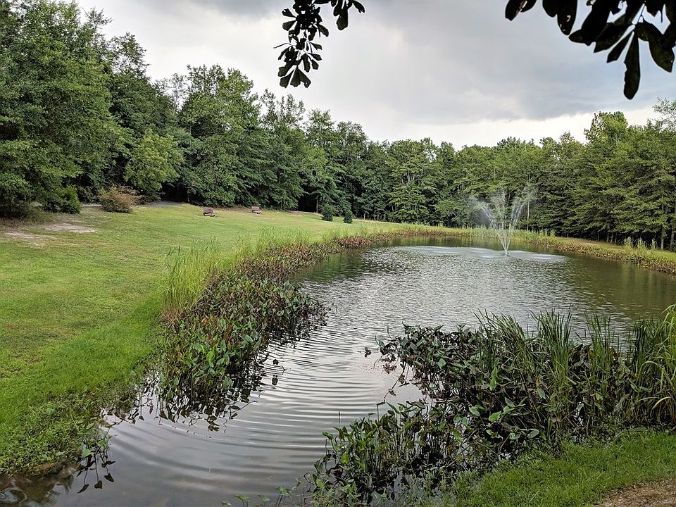2nd image of 290 Walton Heath Way