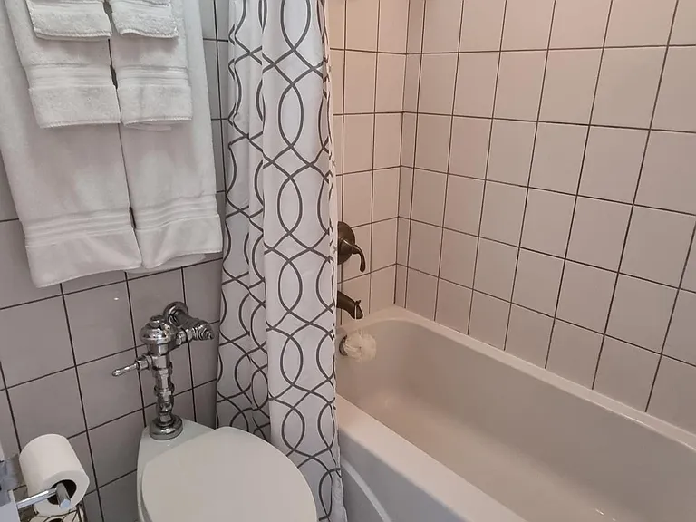 Bath and toilet area
