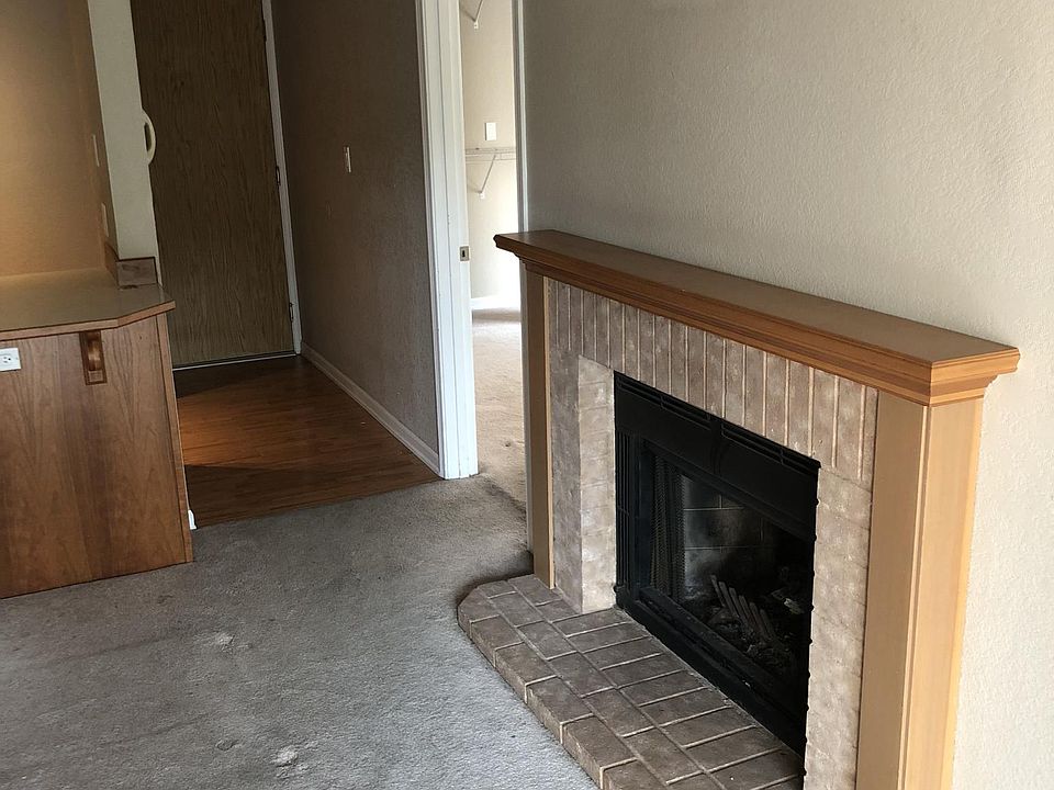 Wood burning fireplace 