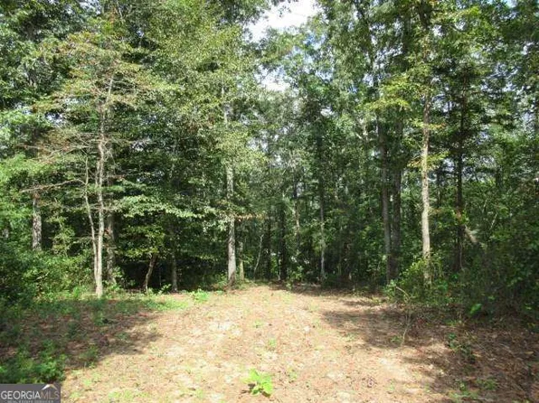 101 Winding Rd Lot 3, Bowdon, GA 30108