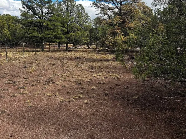 9 Juniper Way, Datil, NM 87821