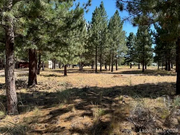 000-000 Sycamore Way, Susanville, CA 96130