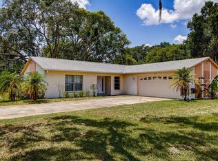 22036 Bass Pl, Land O Lakes, FL 34639