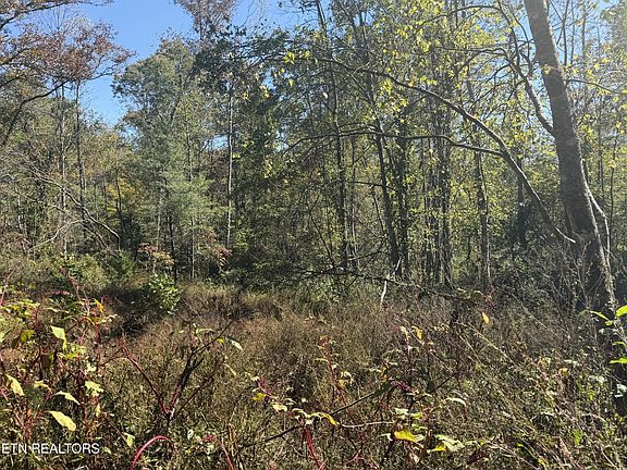 5th image of 2697 Mount Helen Rd