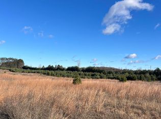 Vacant Land Johnson Rd, Bellaire, MI 49615