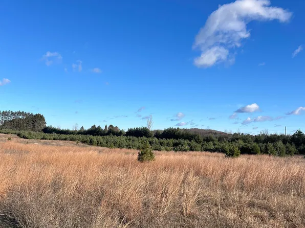 Vacant Land Johnson Rd, Bellaire, MI 49615