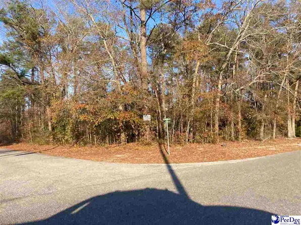 Virginia Ln, Dillon, SC 29536