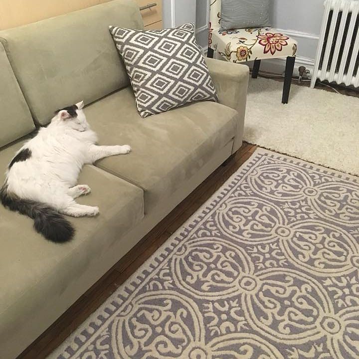 living room sofa