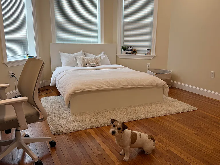3 Alton Pl #2 — Photo 24