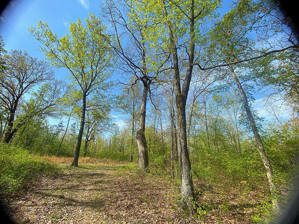 Wayne County Missouri, Greenville, MO 63944 MLS 11218127 Zillow