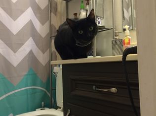 1070 Acorn Ct, Watkinsville, GA 30677