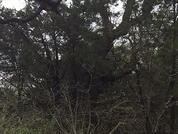 3rd image of 3327 Fm 202