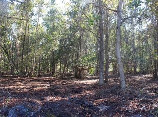 S Volusia Ave LOT 1, Pierson, FL 32180