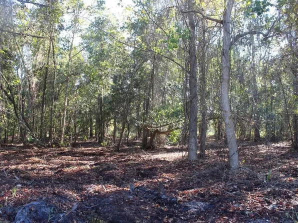 S Volusia Ave Lot 1, Pierson, FL 32180