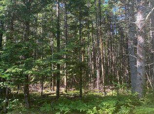 Pid 60493061 Huey Lake Rd, Lot Mount Pleasant, NS B0R1G0
