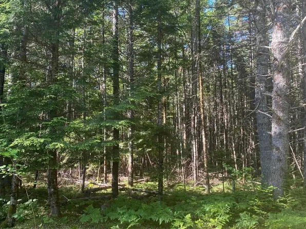 Pid 60493061 Huey Lake Rd, Lot Mount Pleasant, NS B0R 1G0