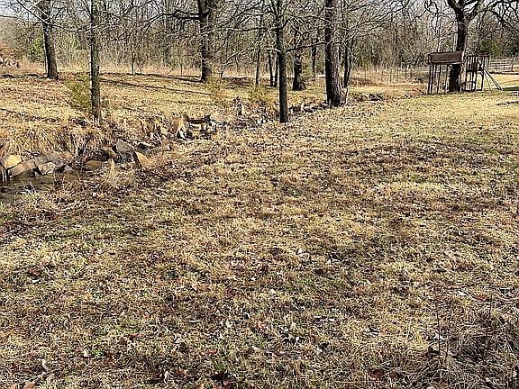 4th image of 10300 Birch Lane Dr