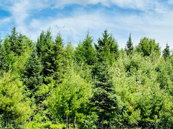 Tbd Highway M95, Humboldt, MI 49879