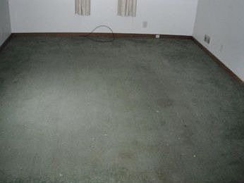 2nd image of 1308 Wyllys St