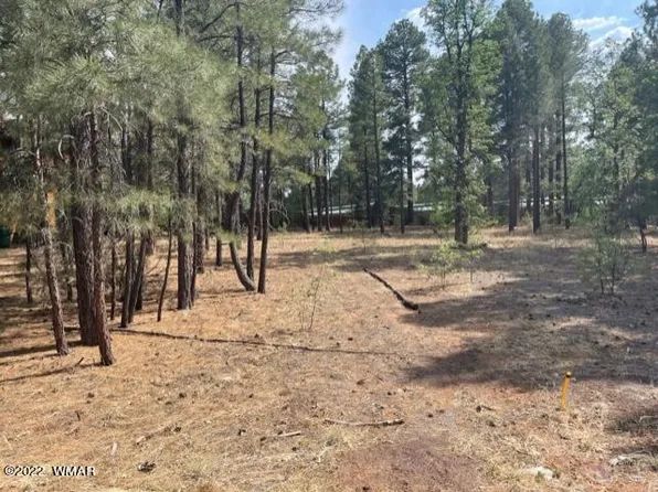 2621 W Snowberry Loop, Show Low, AZ 85901
