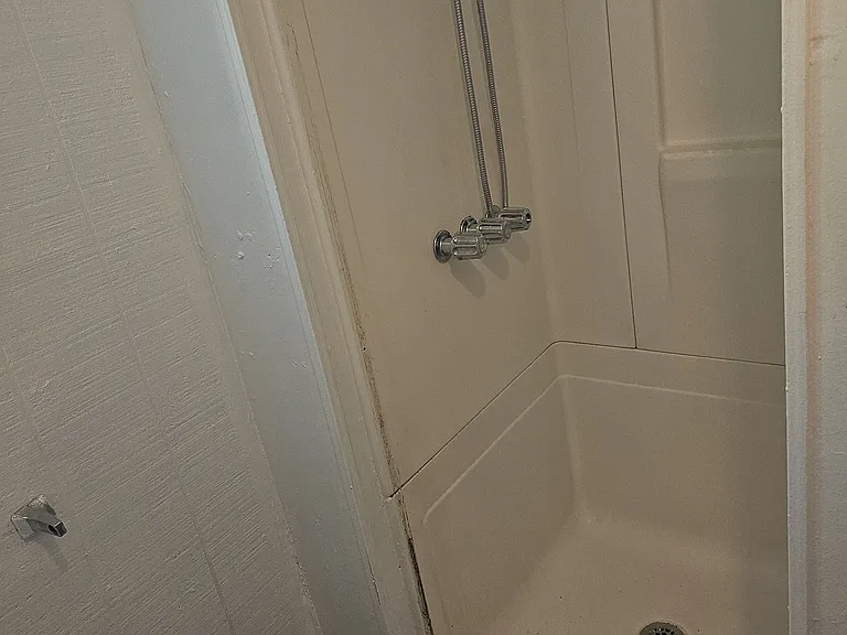 414 Martin Luther King Blvd #2 — Photo 7