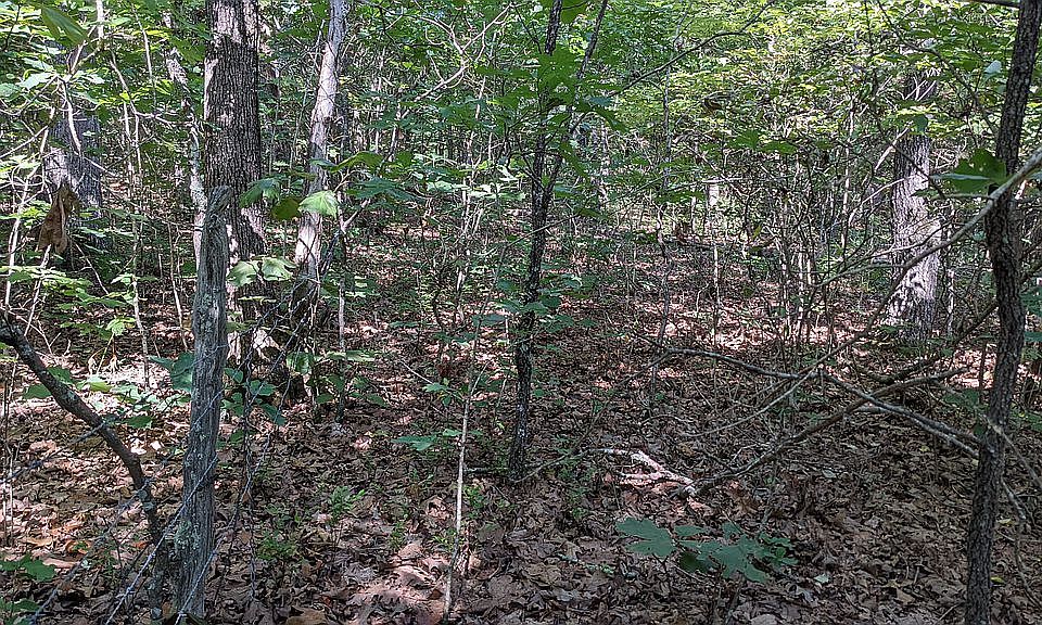 4991 Highway Hh, Hartville, MO 65667 Zillow