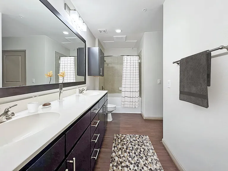 1bed 1bath 1bed 1bath