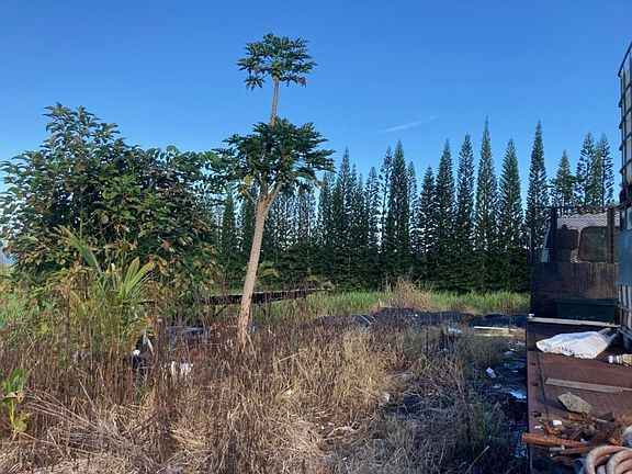 4th image of 29-3844 Pueoihi Rd Lot 13