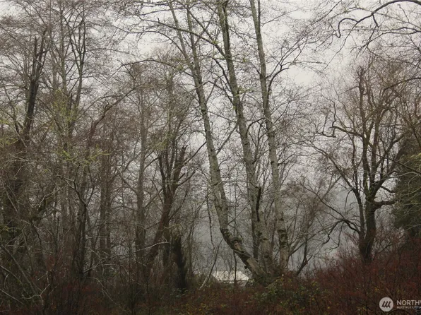 0 Godfrey Street, Raymond, WA 98586