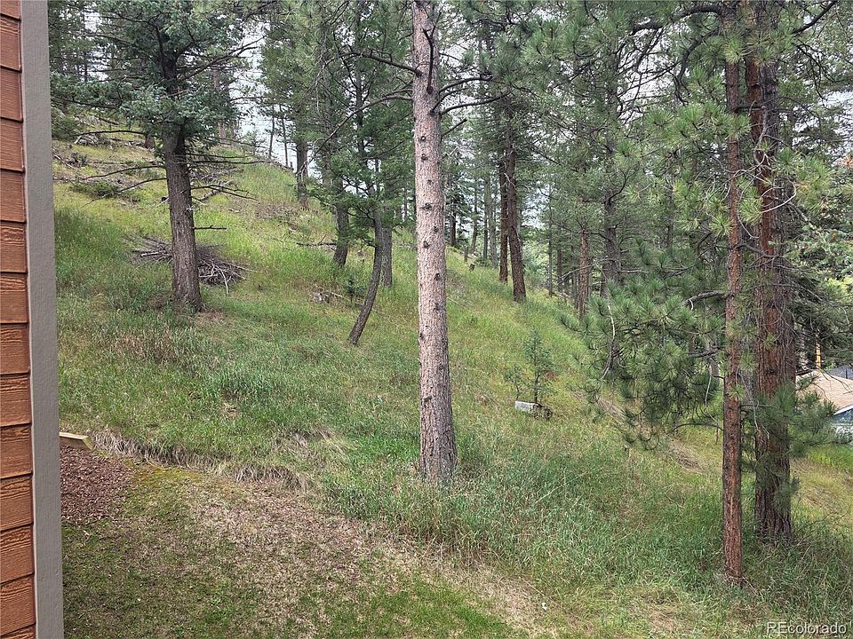 4897 Silver Spruce Lane, Evergreen, CO 80439 | MLS #5412829 | Zillow