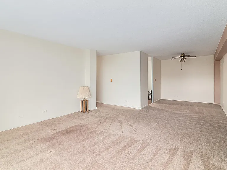 2201 S Stewart Ave #4H — Photo 13