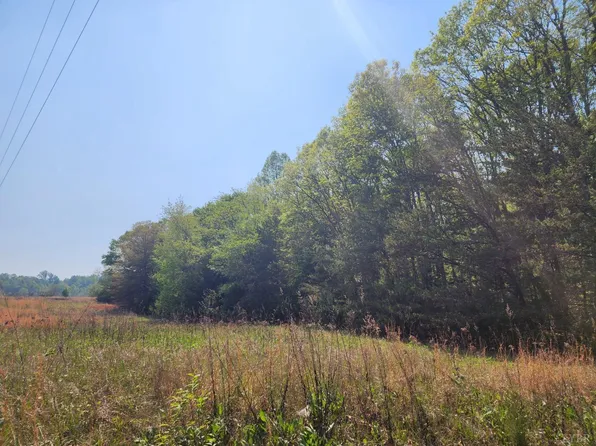 0 Horseshoe Rd Lot 8, Appomattox, VA 24522