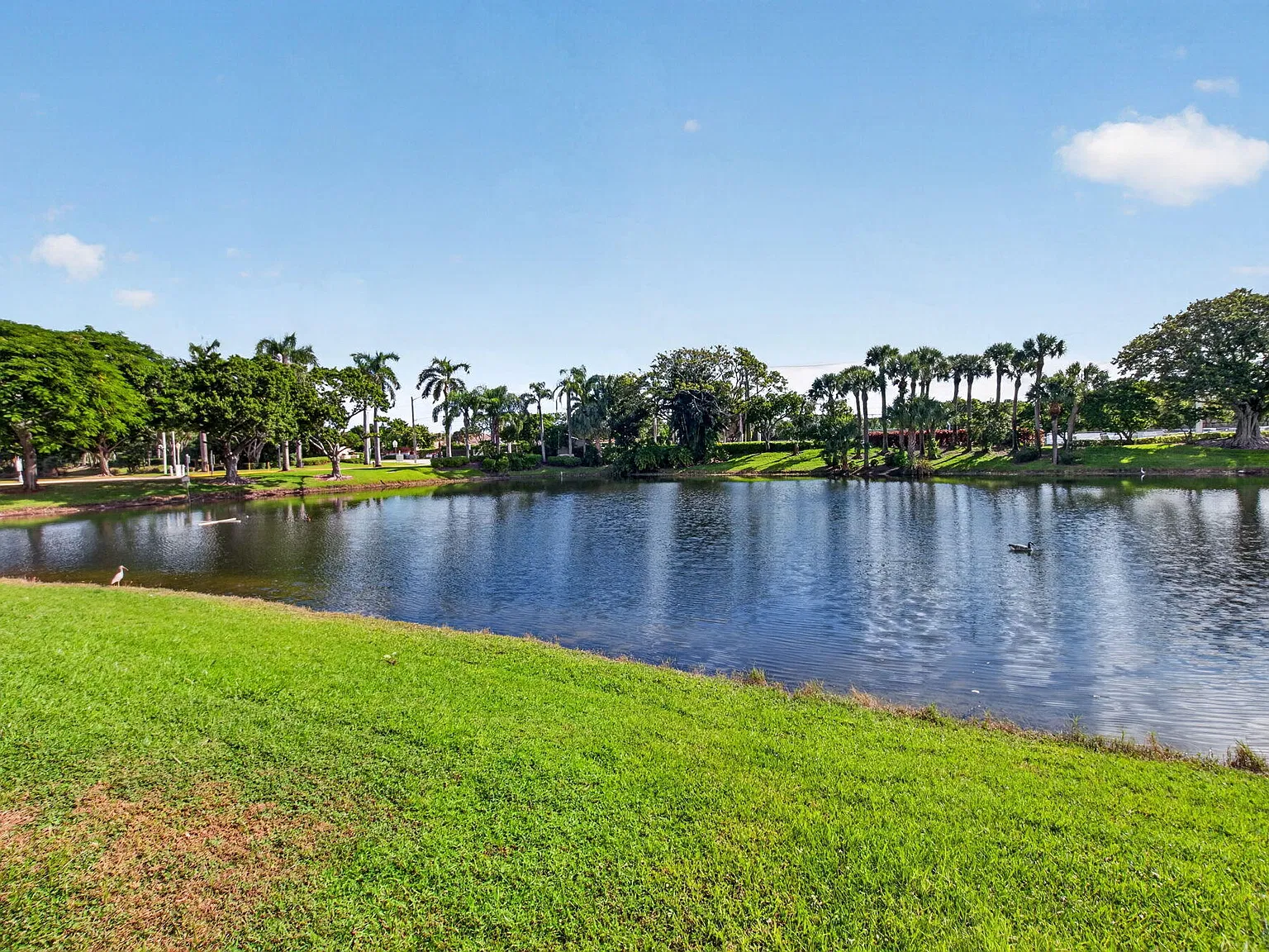 3 bed, 2.0 bath, 1802 sqft, $3,400 — Photo 4