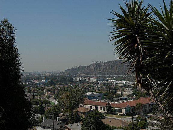 3rd image of 3564 Tacoma Ave