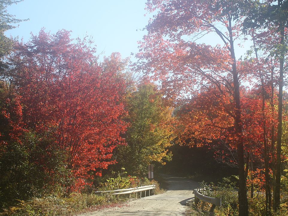 2nd image of 176 Eagle Pond Rd