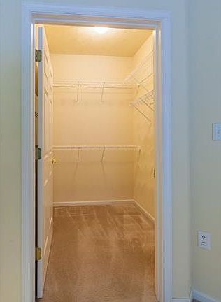 5th image of 903 Rustads Cir #903
