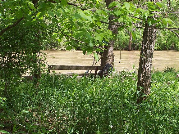Whitewater River in Your Back Yard