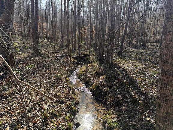 4th image of 5085 Hardin Graveyard Rd